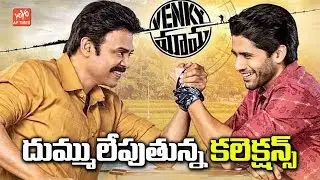 Venky Mama Movie Collections | Venkatesh, Naga Chaitanya | Box Office Report | YOYO AP Times