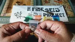 Rob Greenfield & Live Like Ally 2023 Hundreds of Vegetables Seeds The Free Seed Project