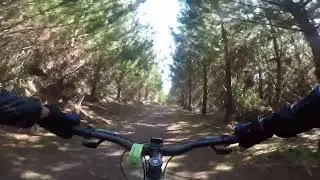 BETTER THAN THE ROAD WOODHILL.👌