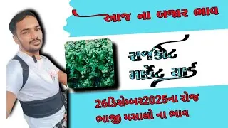 Rajkot masala market 26/12/2025 bhaji masala no bhav #Rajkot #masala #market #bhaji #vlog 