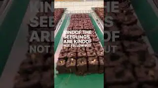 Comment BLOCKER and I&rsquo;ll DM the soil blocker link for tools and how-to
