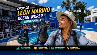 Ocean World Adventure Park 🦭 Puerto Plata | Show de León Marino, Diversión Familiar e Historia 🇩🇴