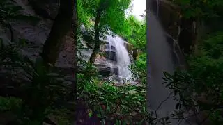 FALL BRANCH FALLS 💦 Epic Tennessee Waterfall #tennesseewaterfalls #chasingwaterfalls #hiking