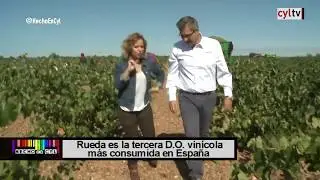 Bodega Cuatro Rayas - Hecho en CyL