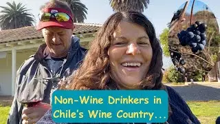 Our First Wine Tour &ndash; Two Non-Wine Drinkers in Chile&rsquo;s Colchagua Valley (Empty Nesters Workaway)