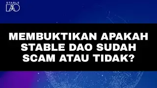 MEMBUKTIKAN APAKAH STABLE DAO SUDAH SCAM ATAU TIDAK?