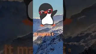 Penguin Giggles for Little Wiggles 🐧😆 11