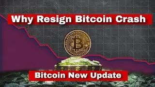 Why Resign Of BITCOIN Price Crash? || India Walla 🔥