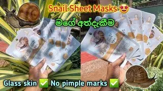 My first impression about SNAIL Sheet Mask|ගොලුබෙල්ලො මුහුනේ ගාමුද?? 🐌Sheet Mask for glass skin ❤️&zwj;🔥