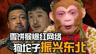 雪饼猴嘴碎爆红网络！耍狗坨子能振兴东北？为啥东北籍艺人都讲振兴家乡，东北到底咋的了？【东郭老贼】