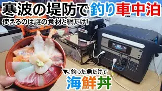 【字幕とBGM】寒波の夜に釣った魚だけで海鮮丼を作って食べる車中泊【Anker 767 Portable Power Station】