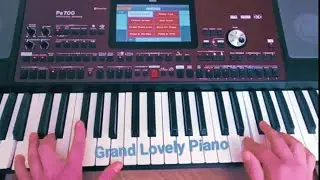 Longer test 1st package I Korg Pa700, Pa1000