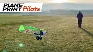 Planeprint ZLIN Savage Bobber