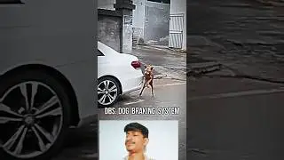 respect🤯💯DBS:DOG BRAKING SYSTEM (VS) RIDER #attitude #9505 #splendorlover #mt15 #dog