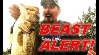 Personal Best 5 Bass Limit Ft True Wisconsin GIANT!
