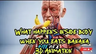 Banana Effects on Brain, Muscles & Gut | Medical Animation  @Body3DArt @AnasAnatomica 