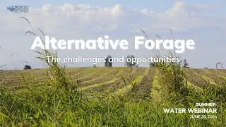 Alternative Forage: The challenges and opportunities - June 28, 2024