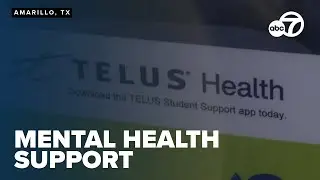 Amarillo College offers 24/7 free mental health support for students