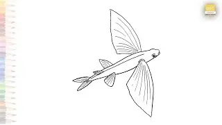 Flying fish drawings | Outline sketches | How to draw Flying fish step by step | #artjanag