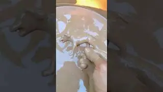 Cleaning a small dog ASMR Sastisfying mud