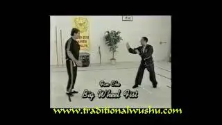 Seven Star Mantis Kung Fu by G Grandmaster Lee Kam Wing.  Dai Fan Che Kuen