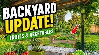 Backyard food forest update January 2026 vlog