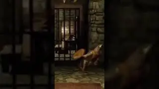 Идешь на собеседование.   #memes #funny #meme #skyrim  #приколы #шортс #shorts #тикток #tiktok
