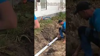 ILE PIOTREK ZATRUDNIA OS&Oacute;B W SWOJEJ FIRMIE?