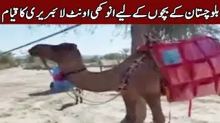 Establishment Of A Unique Camel Library | Expresso | 13 January 2021 | Express News | IX2V