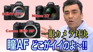 SONY &alpha;7Ⅲ・Canon EOS RP・Nikon Z7 一眼ミラーレスカメラ 瞳AF対決!! どこがイイのよ～!!