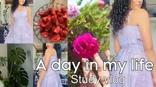 සීතල නුවරඑලියෙ December මාසෙන් දවසක්🌨️🍓🌲#studyvlog මගෙන් ඔයාල හැමෝටම Christmas තෑග්ගක්🎄🎁