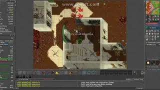 Tibia - EK hunt Low Level 30+ - Mutated Human Yalahar City