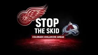 The Red Wings Must Stop the Skid Before the Olympic Break
