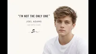 I'M NOT THE ONLY ONE - JOEL ADAMS cover - song by Sam Smith