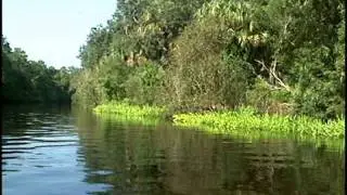 CHNEP Network of an Estuary 1 of 2