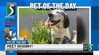 TV5 Pet of the Day: Meet Granny!