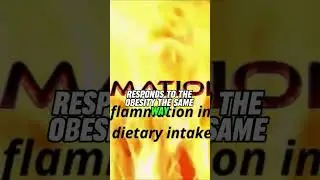 What is Metaflammation?      #shorts