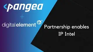 Pangea IP Intel now powered by DigitalElement
