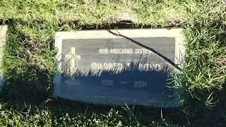 Del Rubio Triplets Graves Holy Cross Cemetery Culver City California USA January 7, 2026