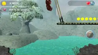 Animal Friends Adventure