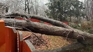 Power outages reported during wind storm