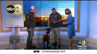 Sit Means Sit Dog Training - Richmond In the News