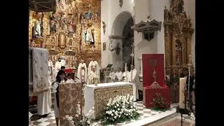🔴🟢 EN DIRECTO || Especial San Cecilio, Patrón de Granada Domingo 31 de 2026