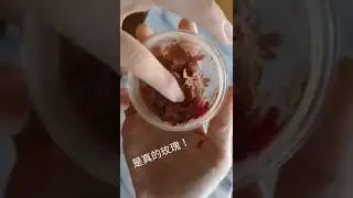 Zuii Organic 玫瑰花瓣細緻蜜粉系列10g