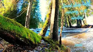 Relaxing music. Deep sleep music . Video 4k HD camping #197