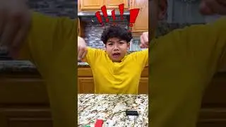 Eric & Jannie Learn Teamwork with Dominoes!
