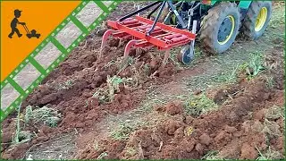 Tiller a molle 5 ancore serie media AgriEuro CM5 &ndash; Erpice coltivatore Estirpatore 5 Vomeri