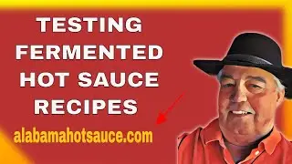 Testing Fermented Hot Sauce Recipes #fermentedhotsaucerecipes #fermentedhotsauce #alabamahotsauce