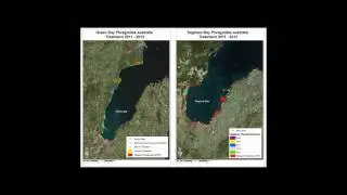 GLPC - Remote Sensing Pt I: Monitoring the Treatment of non-native Phragmites for Restoration