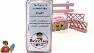 LEGO HAUL Surprise! 